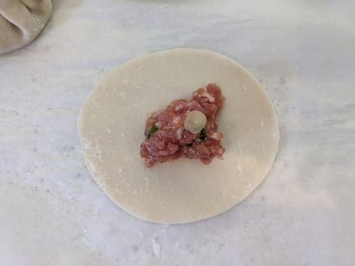 Dumpling wrapper and filling