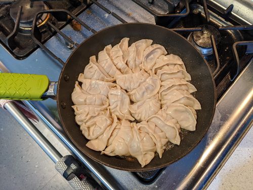 Dumplings fried
